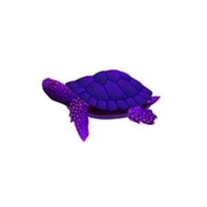 Purple Ornate Turtle